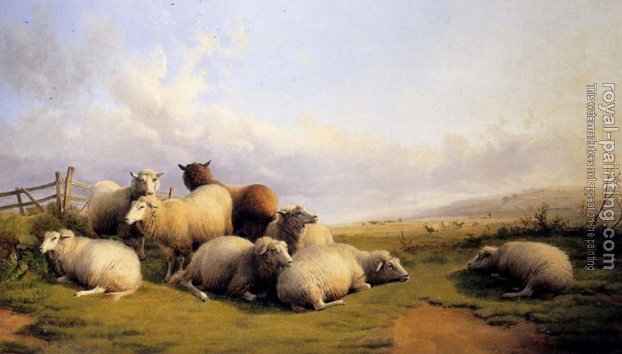Thomas Sidney Cooper : Sheep In An Extensive Landscape
